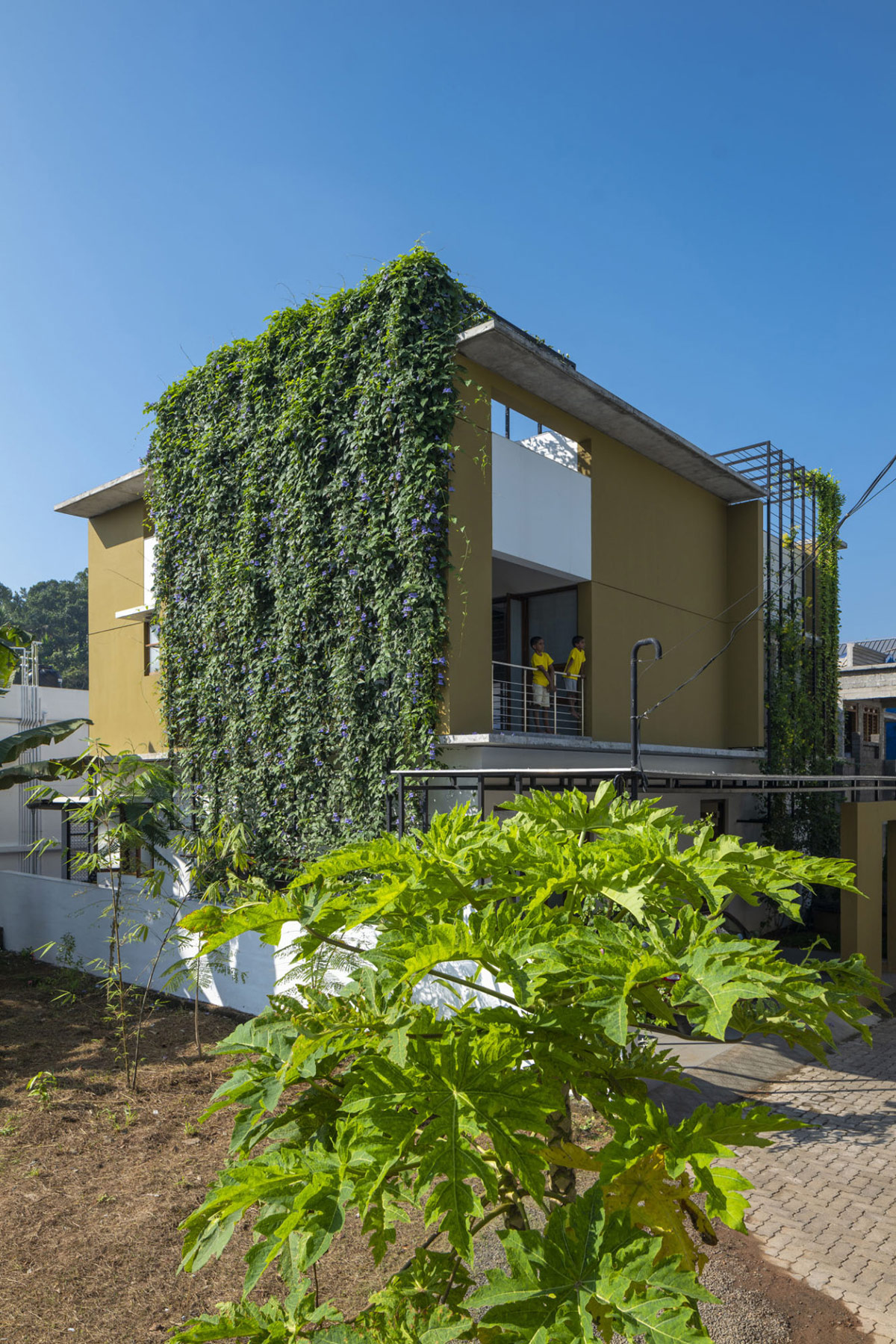 1675442694 963 krasivyy biofilnyy dom s otkrytoy kontseptsiey zhizni