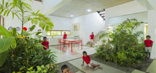 Красивый биофильный дом с открытой концепцией жизни — Полезная информация