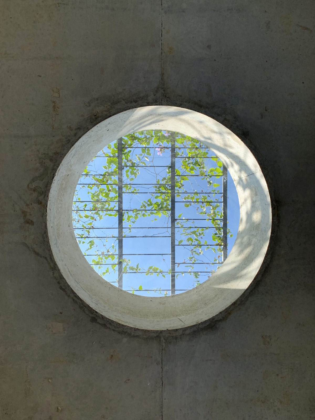 1675442697 912 krasivyy biofilnyy dom s otkrytoy kontseptsiey zhizni