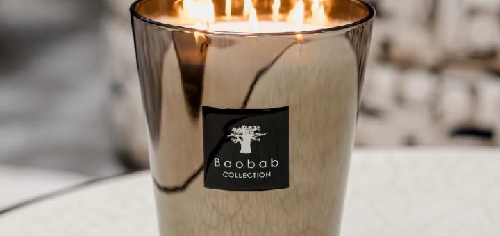 Свеча месяца: Baobab Platinum