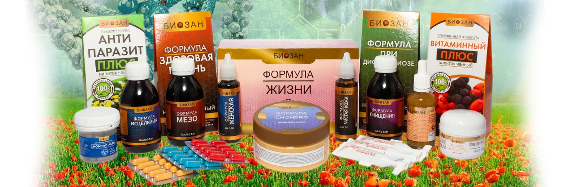 Продукция компании Биозан — Полезная информация 2 Продукция компании Биозан