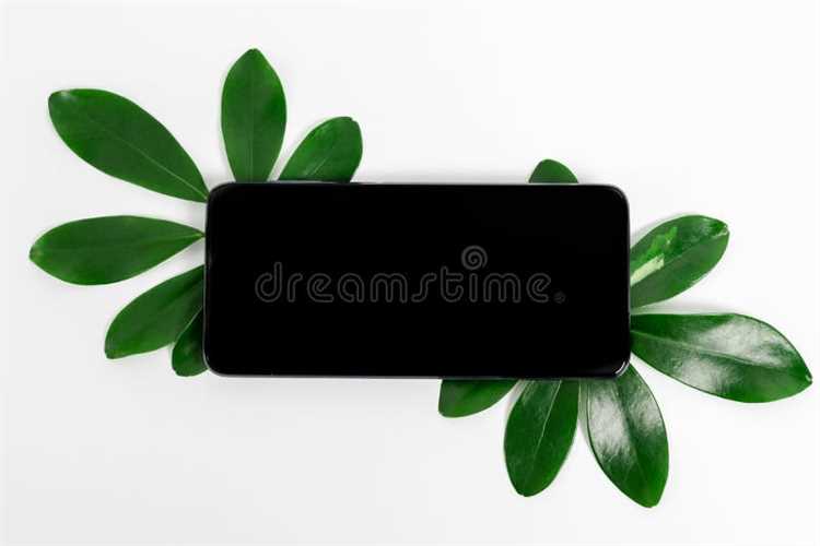 Увлекательные идеи использования органических материалов в различных сферах деятельности 5 Аксессуары для кухни