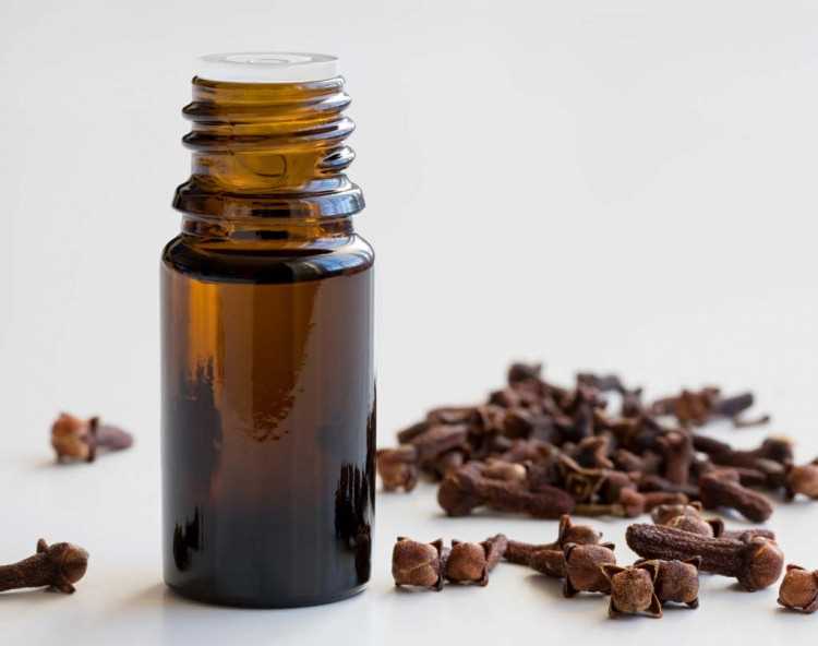 Изучение свойств и применение эфирных масел и органических добавок при изготовлении свечей в домашних условиях 3 Как правильно использовать эфирные масла и натуральные добавки при изготовлении свечей