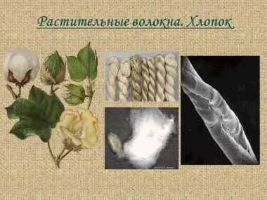 Хобби из натуральных материалов 3 Техника искусства