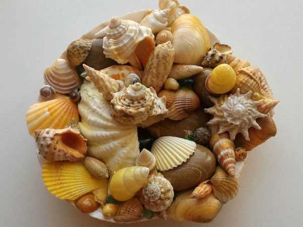 Советы о том, как использовать ракушки и камни в своей работе и в творчестве Советы по работе с ракушками и камнями
