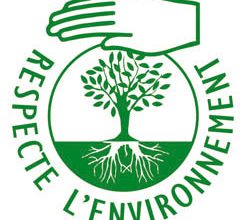 ekologichnoe proizvodstvo svechey zabota ob okruzhayuschey srede