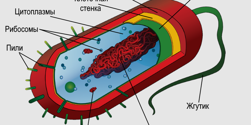 kak sozdavat svechi razlichnyh form i razmerov