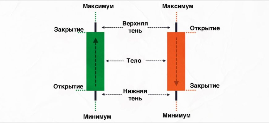 sozdanie svechey iz travy i lepestkov tvorcheskiy i ekologichnyy podhod k izgotovleniyu svoih sobstvennyh svechey